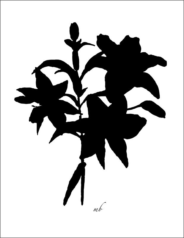 Asiatic Lilies Dressed in Black